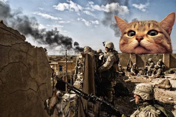  狼队铁血绞杀，逼平领头羊展现硬核气质  